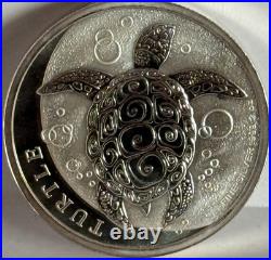 2024 Niue Hawksbill Turtle Taku 2 oz. 999 fine silver IMPERFECT