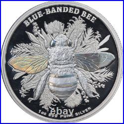 2025 Niue 1 Ounce Silver $2 Australian Native Bees Blue-Banded Bee Proof ST