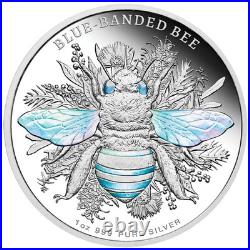 2025 Niue Australian Native Bees Blue-Banded Bee 1 oz Silver Proof Hologram Coin