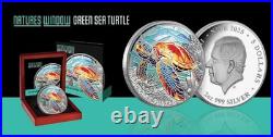 NEW Niue 2025 Green Sea Turtle Natures Window $5 2 Oz. 999 Silver Proof Color NEW Niue 2025 Green Sea Turtle Natures Window $5 2 Oz. 999 Silver Proof Color
