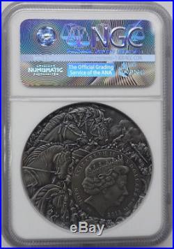 NGC MS70 2018 Niue White Horse 2oz Antique Silver Coin First Releases