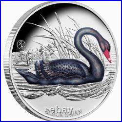Niue 2024 BLACK SWAN John Gould Birds of Australia $1 1 Oz Pure Silver Proof OGP