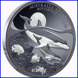 Niue 2025 BOTTLENOSE DOLPHIN Australia At Night Baby $1 Oz Silver Black Proof